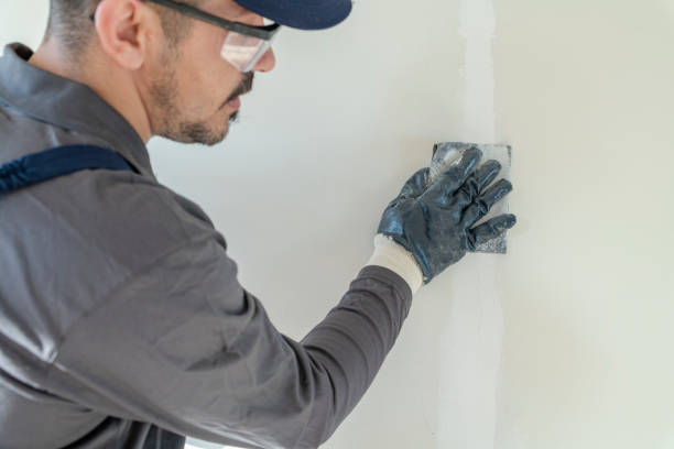 Trusted Elgin, OK Mold Removal Experts