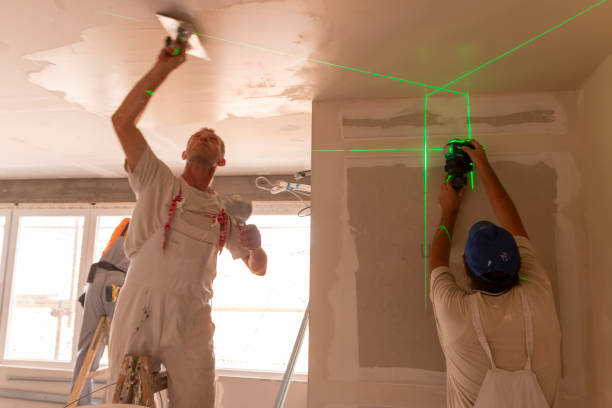 Best Basement Mold Removal  in Elgin, OK