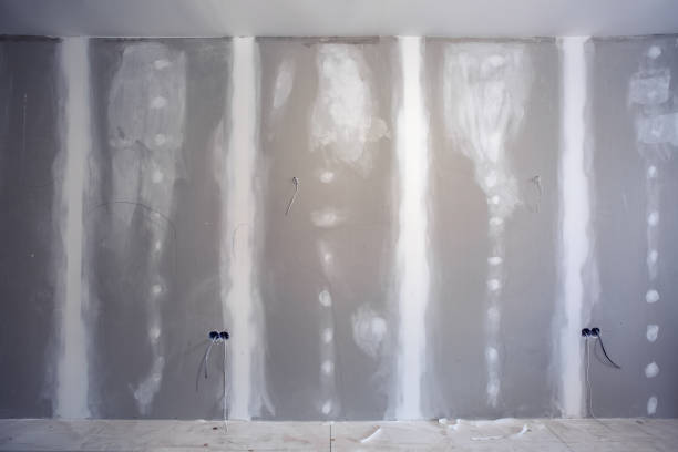 Best Attic Mold Removal  in Elgin, OK